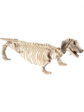 Zet dit Skelet van een hond voor de ingang van jouw Halloween/Horrorfeestje.
55cmx13cmx30cm