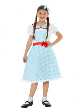 Country Girl Kostuum, bestaande uit de blauw/witte jurk met haarband.