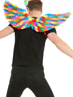 Sta in het middelpunt tijdens de Gay Pride met deze prachtige multi-gekleurde Rainbow Feather Wings 80cm/31 combineer de vleugels met een van onze andere regenboogartikelen om de look compleet te maken.