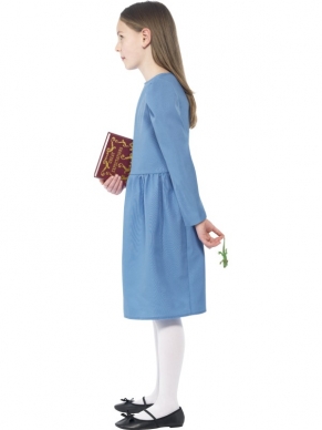 Naar het gelijknamige boek van Roald Dahl een prachtig Matilda Kostuum.Inbegrepen zijn de blauwe jurk met het boek en de salamander.
Maak je outfit af met een rode lint in het haar!