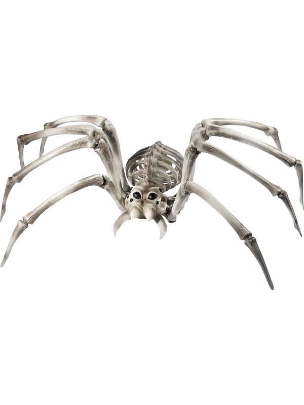 Spider Skelet ter decoratie op joüw Halloween of Horror feestje.
22cmx48cmx82cm.