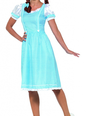 Kansas Country Girl Kostuum, bestaande uit de jurk met bijpassende haarstrikjes.