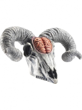 Ter decoratie op jouw Halloween Party deze Latex Rams Skull met blootgestelde hersenen, 33x20x19cm. Bekijk hier onze gehele Halloween Decoratie collectie om jouw locatie om te toveren in een echt Horror Huis.