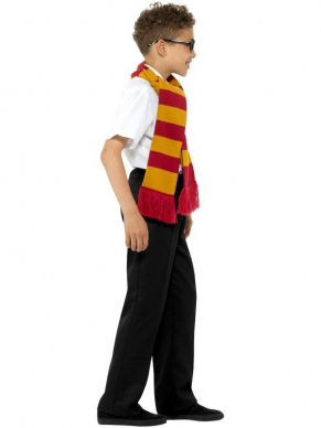 Verander in een handomdraai in een Schooljongen met deze Schoolboy Kit, bestaande uit de sjaal, stropdas en bril.