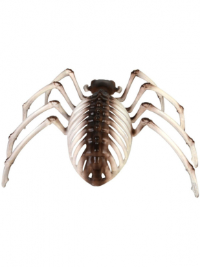 Leg deze Spider Skeleton ter decoratie op jouw Halloween feestje voor een echte horror sfeer.
Afm.16cmx33cmx21cm