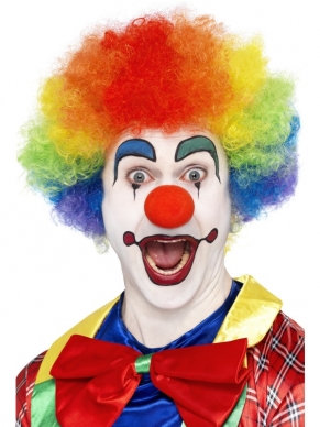 Regenboog Clown Pruik. Mooie pruiken in de kleuren van de regenboog 120gram.