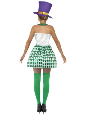 Mad Hatter Alice In Wonderland Dames Kostuum. Inbegrepen is de mooie jurk en de grote hoge hoed. 