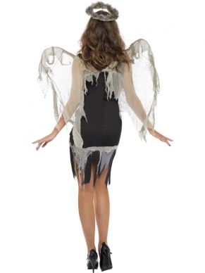 Dark Fallen Angel Dames Verkleedkleding. Inbegrepen is de zwarte jurk en vleugels.