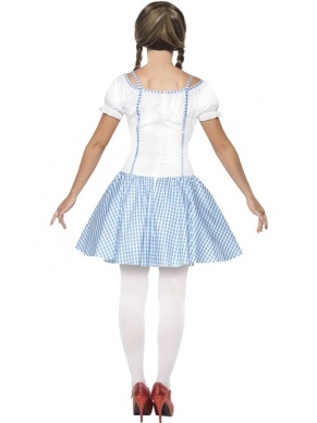 Dorothy Dames Kostuum. Tovenaar van Oz kostuum. Inbegrepen is de blauw witte jurk.