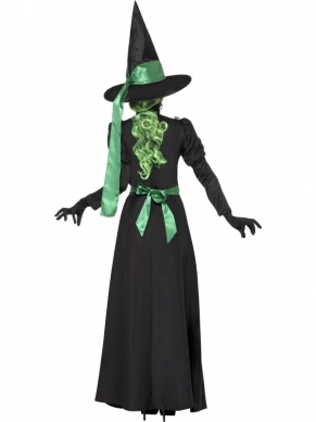Wicked Witch Heksenkostuum Halloween. Inbegrepen is de lange heksenjurk met groen zwarte Heksenhoed. 
