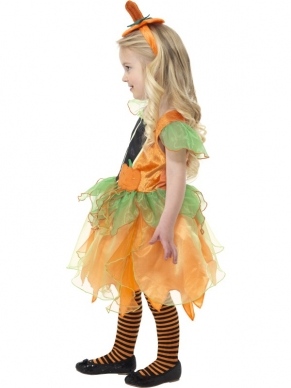 Schattig Pompoen Fairy Peuter Halloween Kostuum. Inbegrepen is de schattige jurk en het hoedje op diadeem. Verkrijgbaar in twee maten. De panty is los bij ons te bestellen.