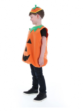 Kinder Pompoen Halloween Kostuum. Inbegrepen is het pompoenen kostuum en het hoedje. De panty verkopen we los. Leuk voor Halloween. 