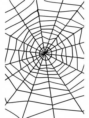 Zwart Spinnenweb met Spin Halloween Versiering - leuk voor Halloween of een themafeest!