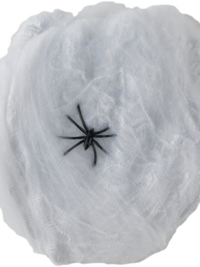 Wit Spinnenweb met Spin Halloween Versiering - leuk voor Halloween of een themafeest!