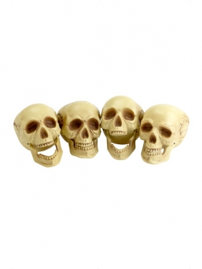 Schedels Halloween Versiering 4 Stuks - de schedels zijn 16 cm groot en hebben een natuurlijke kleur. Leuk voor Halloween of een themafeest!